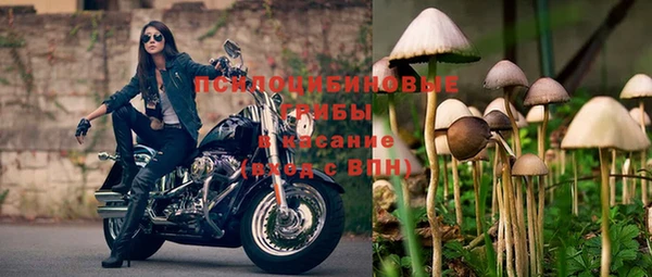 jwh Михайловск