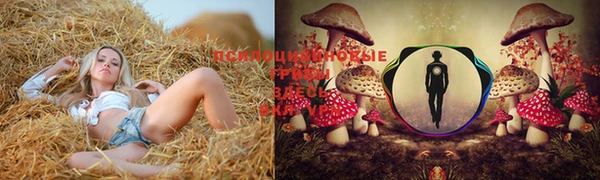 apvp Надым