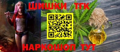 меф Гатчина