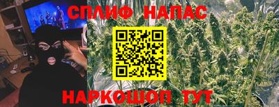 меф Гатчина