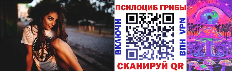 Галлюциногенные грибы Magic Shrooms  купить   МЕГА маркетплейс  Прокопьевск 