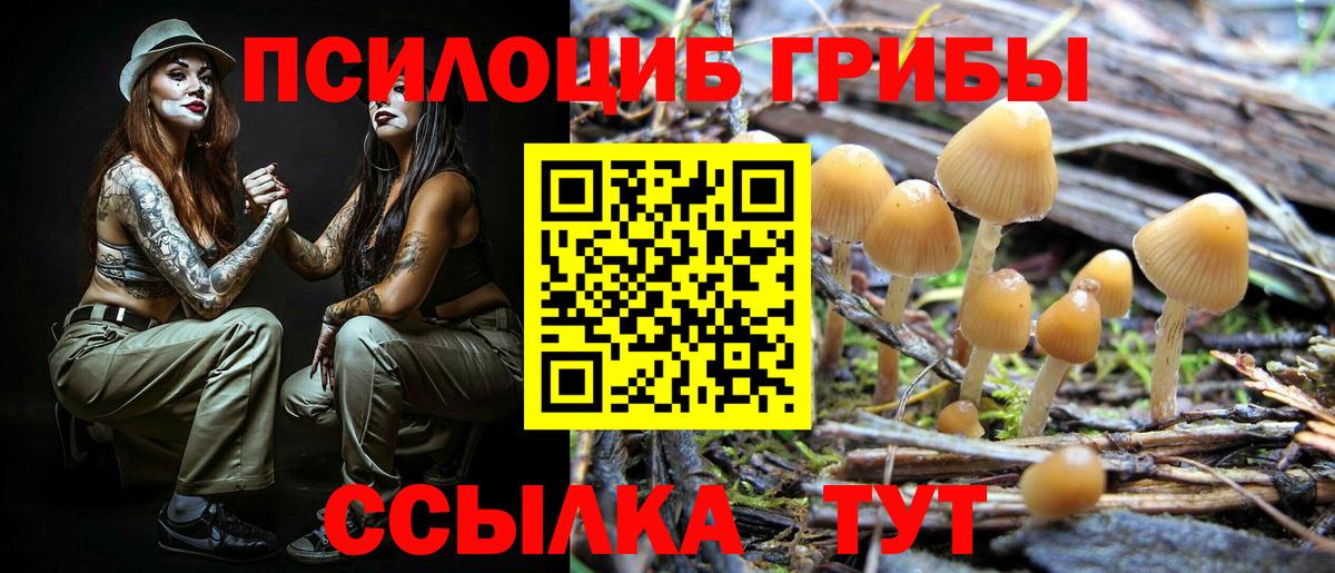 Галлюциногенные грибы Psilocybine cubensis  Вход с VPN  Псилоцибиновые грибы мицелий  Прокопьевск 