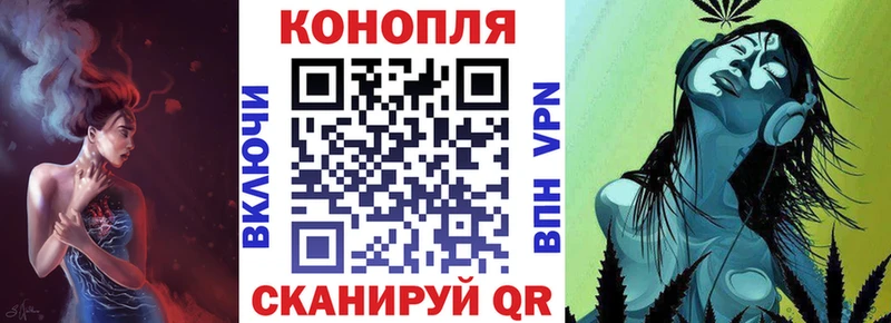 как найти   кракен маркетплейс  Конопля гибрид  Прокопьевск 